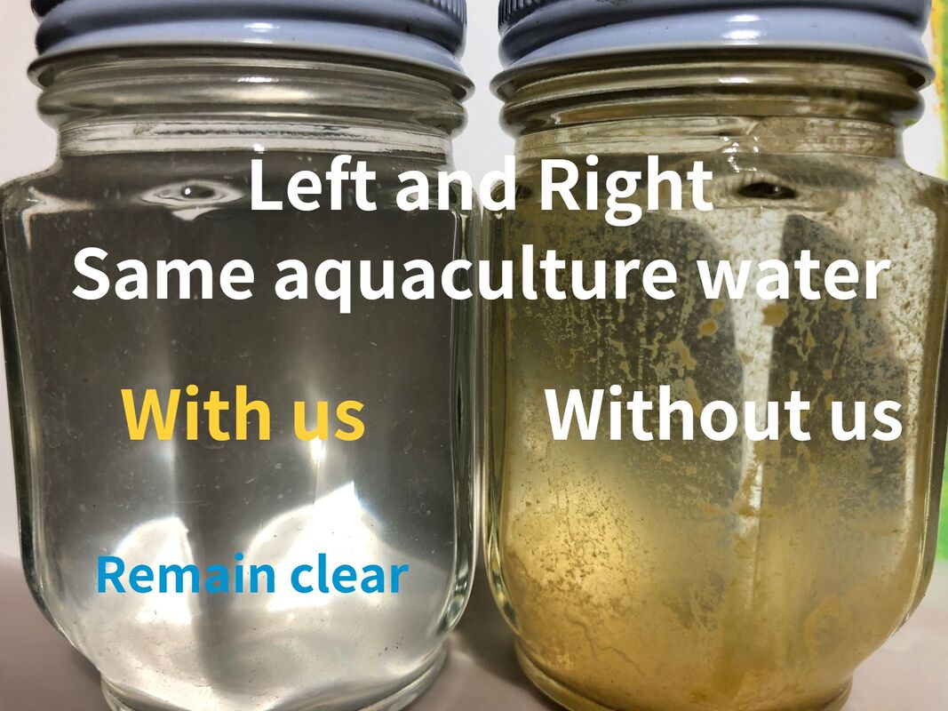 Water with JBl nanobubble water different from usual aquaculture water
